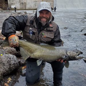 Meet your Posher, Andy